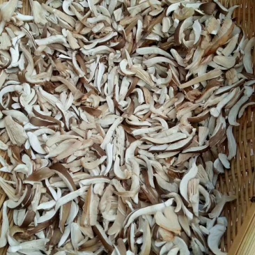 鸡枞油