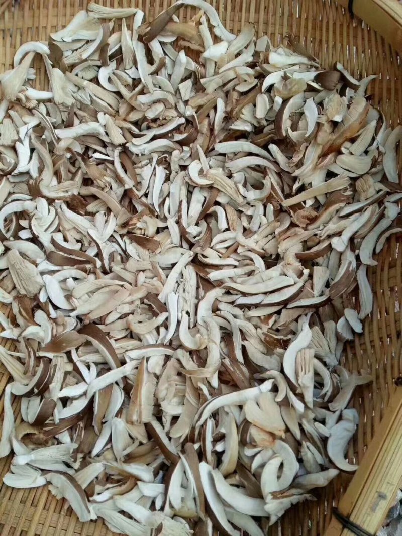 鸡枞油