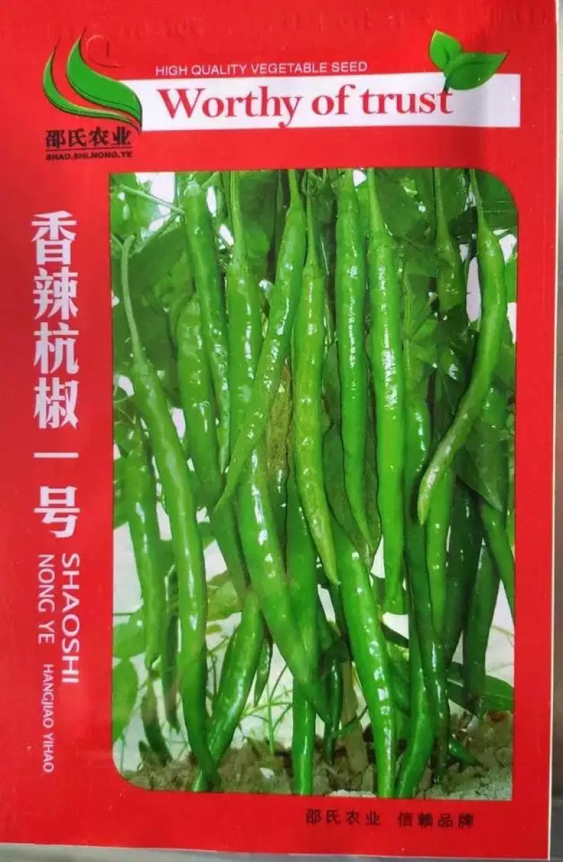 【牛商推荐】种子杭椒一号辣椒种子线椒种子早熟高产