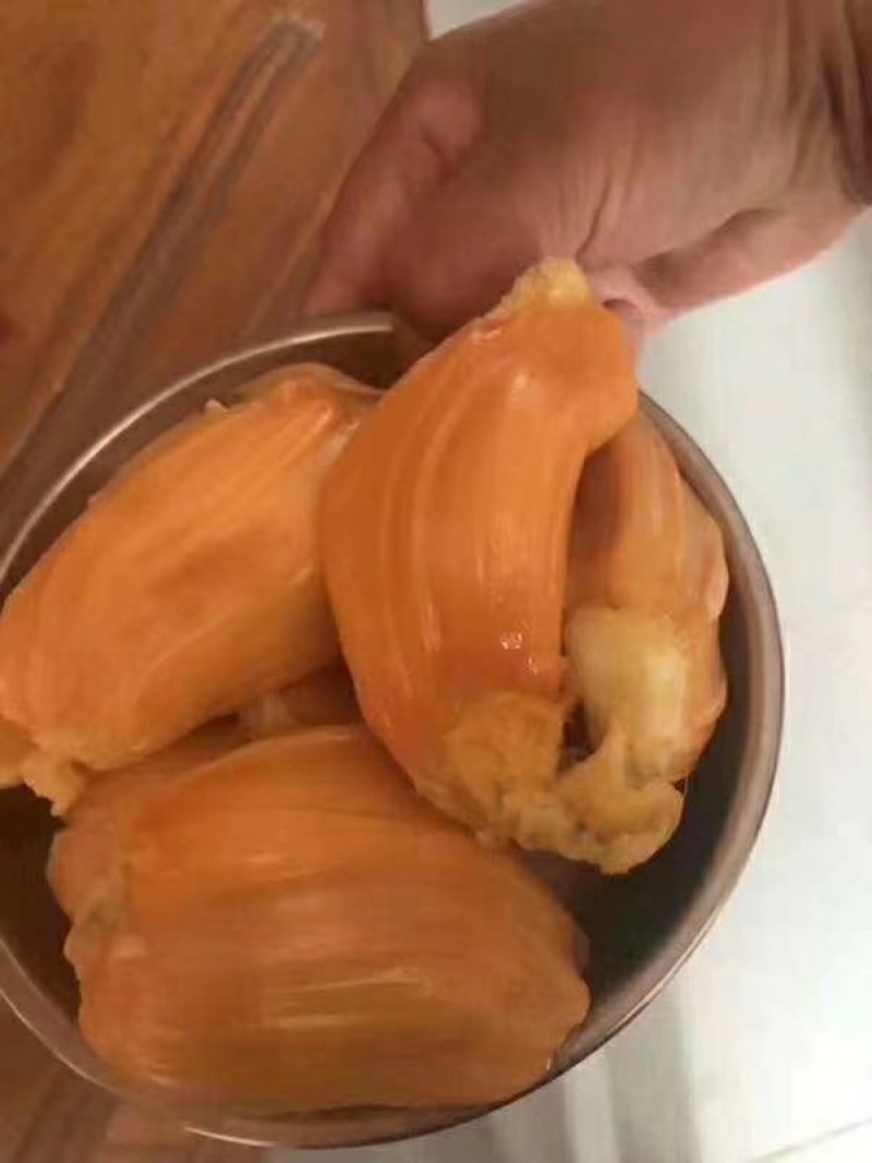 菠萝蜜树苗菠萝树苗泰国红肉菠萝蜜海南菠萝蜜榴莲蜜苗树苗
