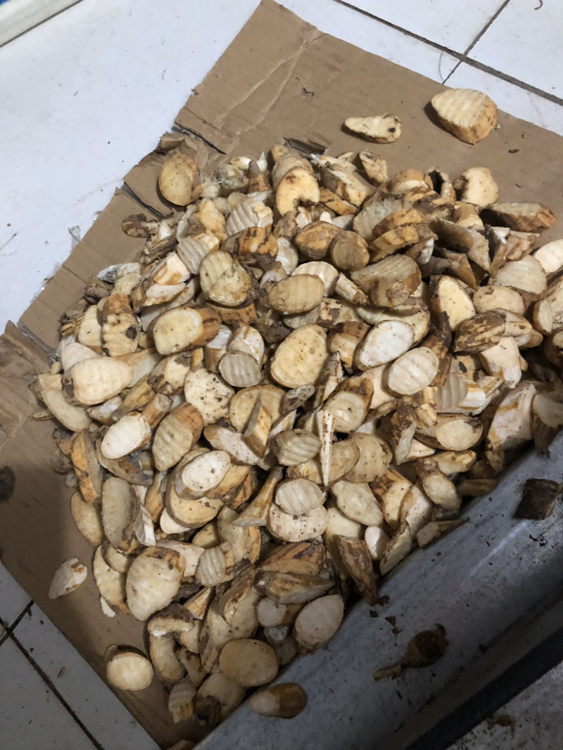 金秀大瑶山野生牛大力可以切片鲜货干货