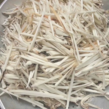 鸡枞菌