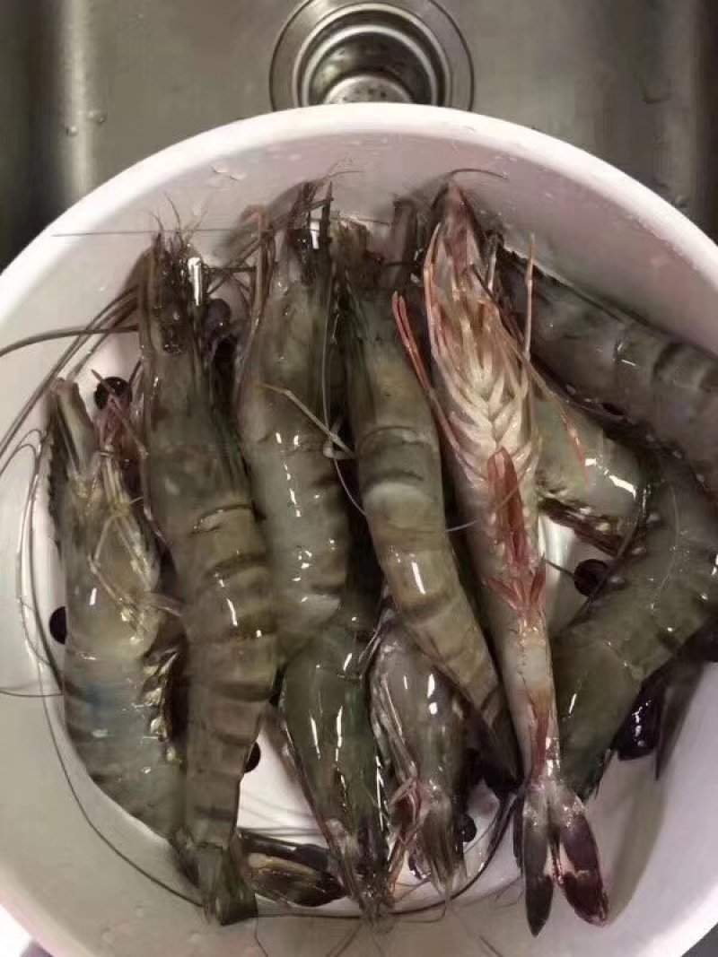 【顺丰包邮】黑虎虾净重370克/盒，3盒/件，一件代发