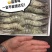【顺丰包邮】黑虎虾净重370克/盒，3盒/件，一件代发