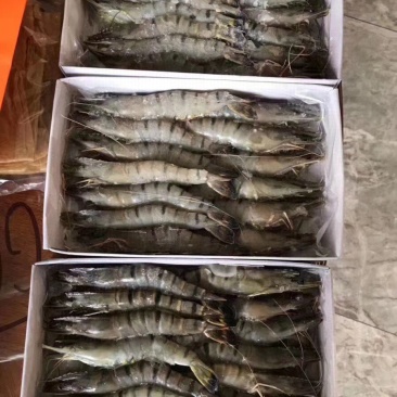 【顺丰包邮】黑虎虾净重370克/盒，3盒/件，一件代发