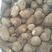 荔浦芋头芋头销售点品种有8520全国发货货源充足