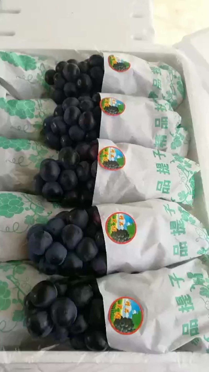 精品黑提