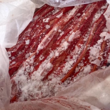 蒙古马肉五分体，肋条肉，20年新货，质量有保证，活马吊宰