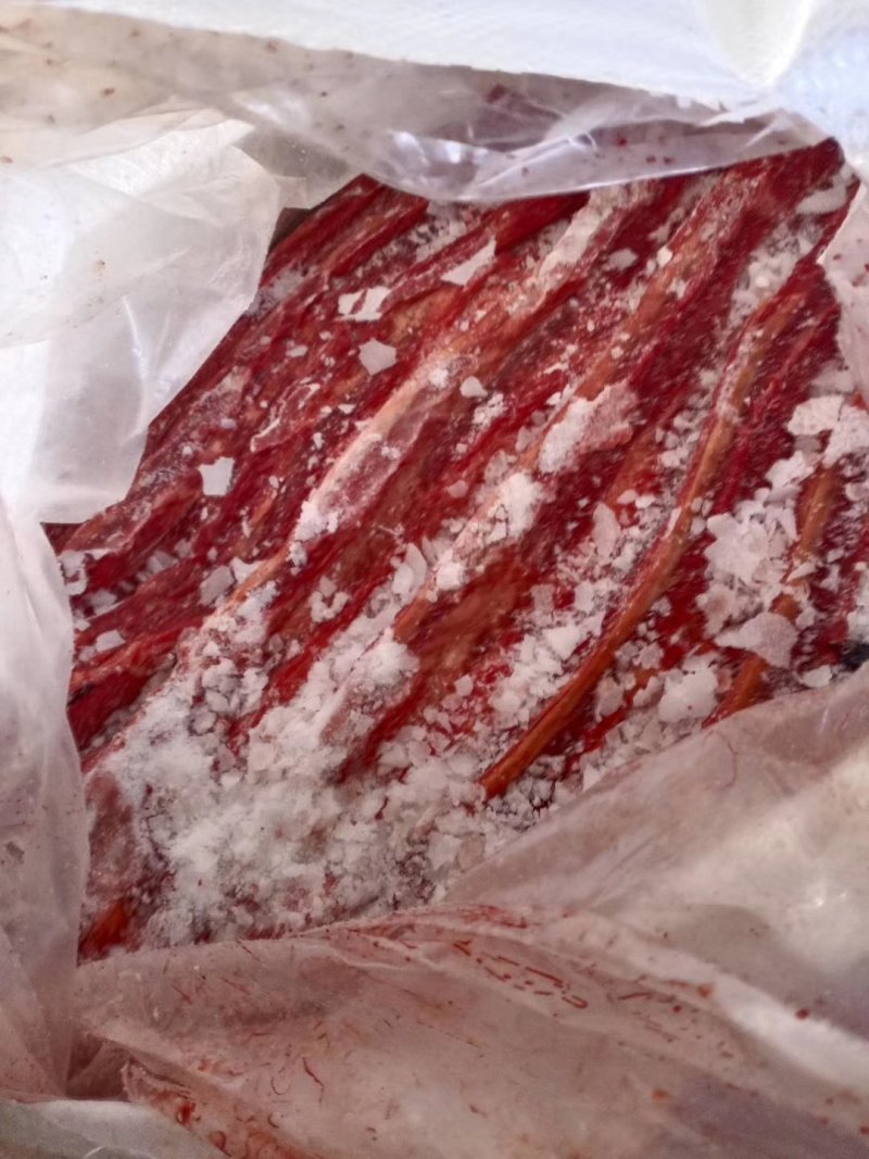 蒙古马肉五分体，肋条肉，20年新货，质量有保证，活马吊宰