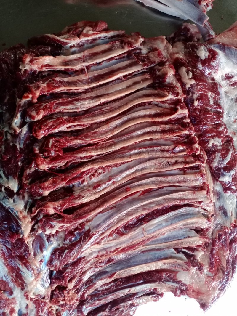 蒙古马肉五分体，肋条肉，20年新货，质量有保证，活马吊宰