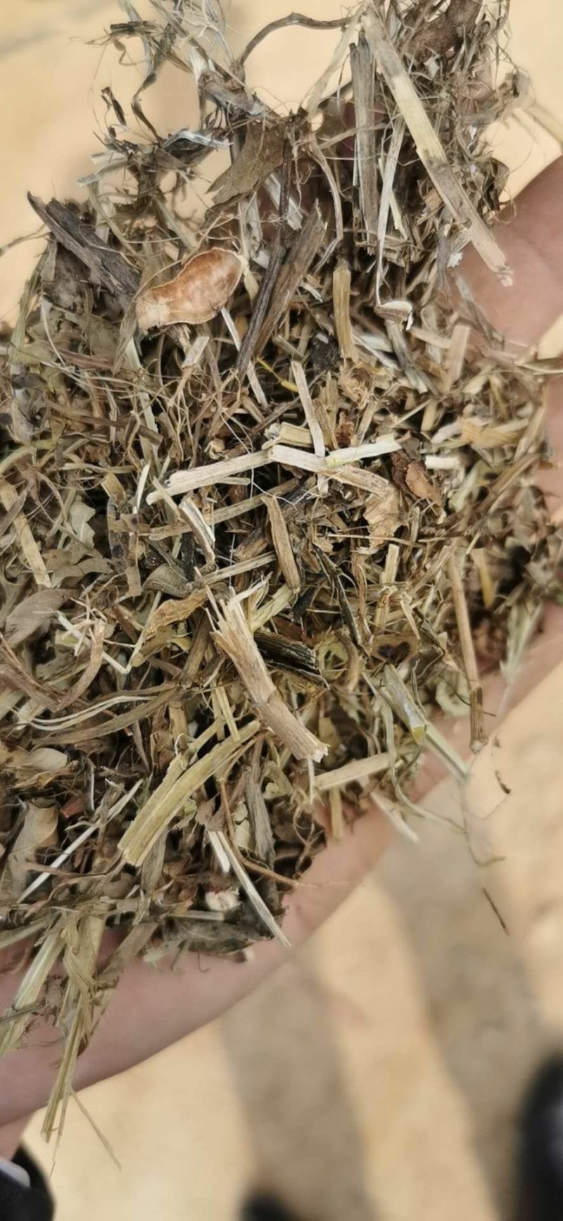 花生秧常年出售羊料牛料花生秧保证质量