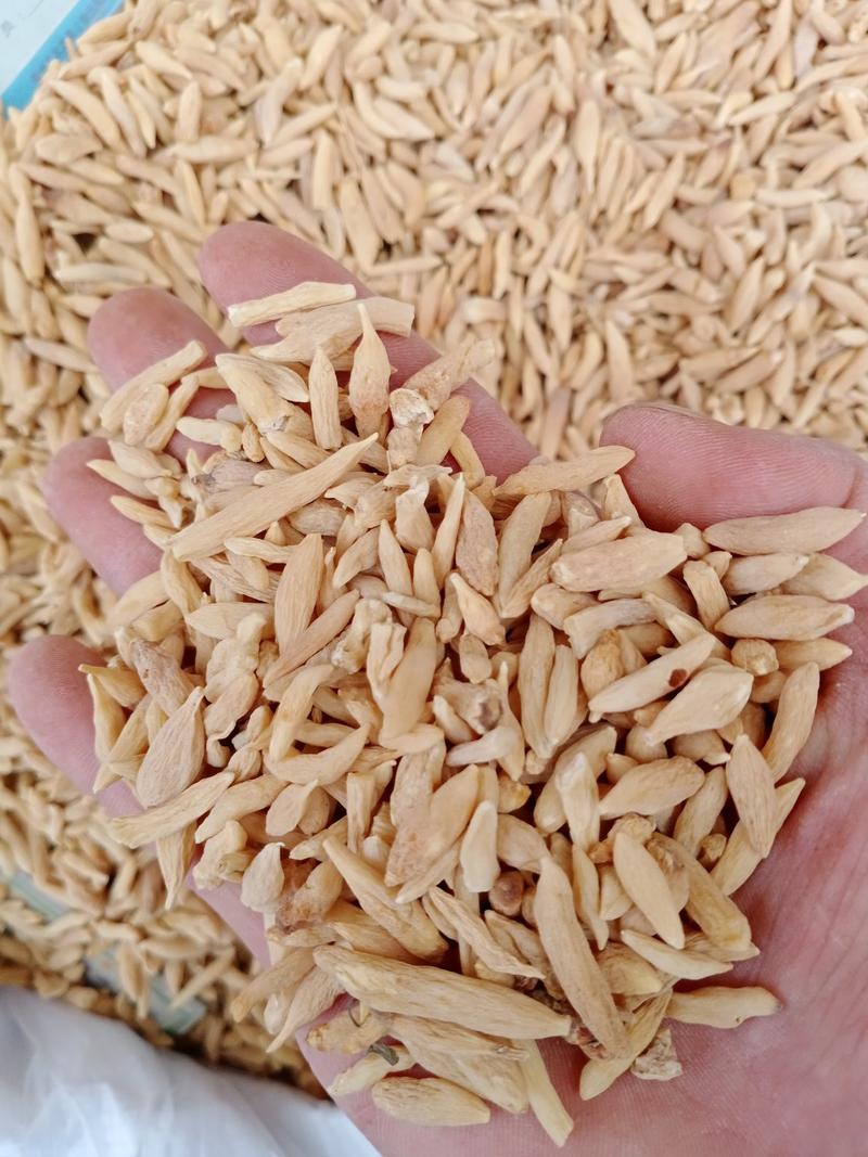 麦冬，常年批发供应川麦冬，山东麦冬，各种规格