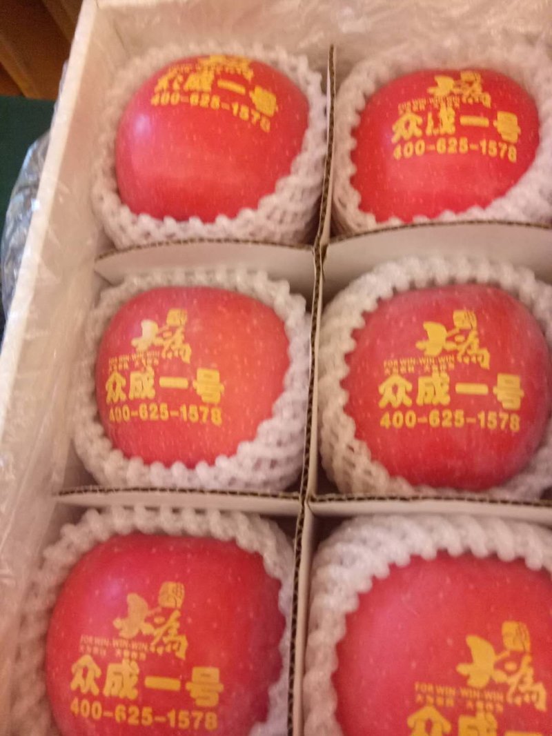 众成一号新品种富士3年乔化苹果苗