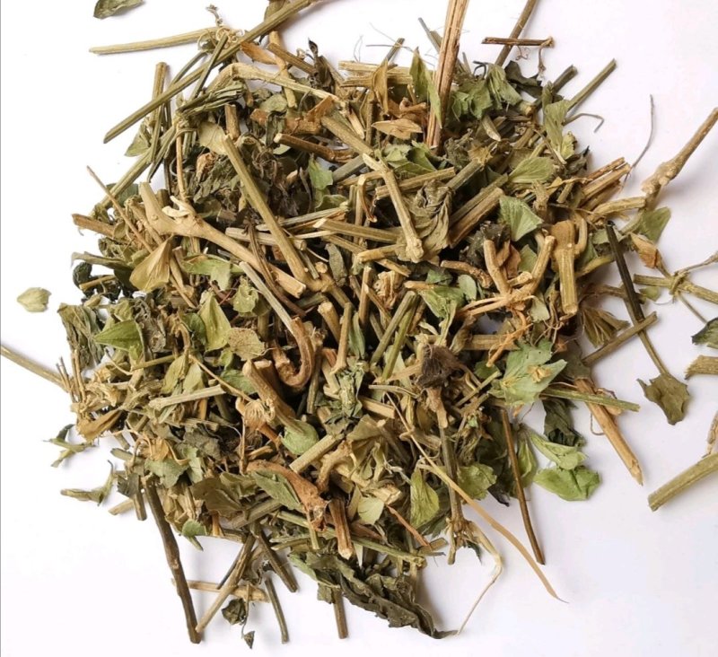 九头狮子草.湖南产道地药材，质优价实，品质保证，药典标准