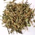 九头狮子草.湖南产道地药材，质优价实，品质保证，药典标准