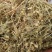 小米草.道地药材,质优价实,品质保证,药典标准一公斤起批