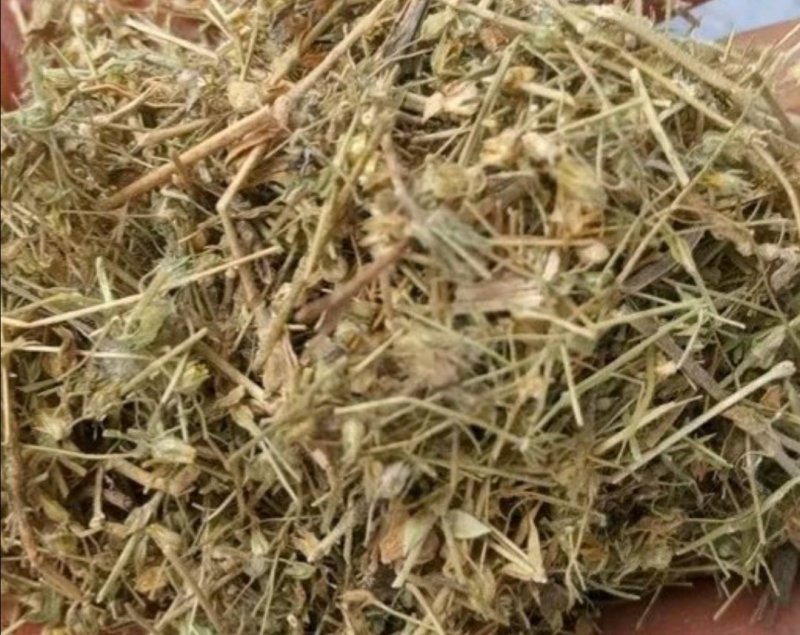 小米草.道地药材，质优价实，品质保证，药典标准一公斤起批