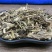 溪黄草.道地药材,质优价实,品质保证,药典标准一公斤起批