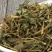 鹅肠草,道地药材，质优价实，品质保证，药典标准一公斤起批