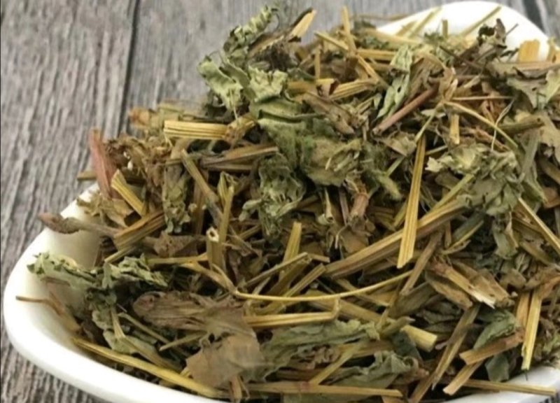 鹅肠草,道地药材，质优价实，品质保证，药典标准一公斤起批