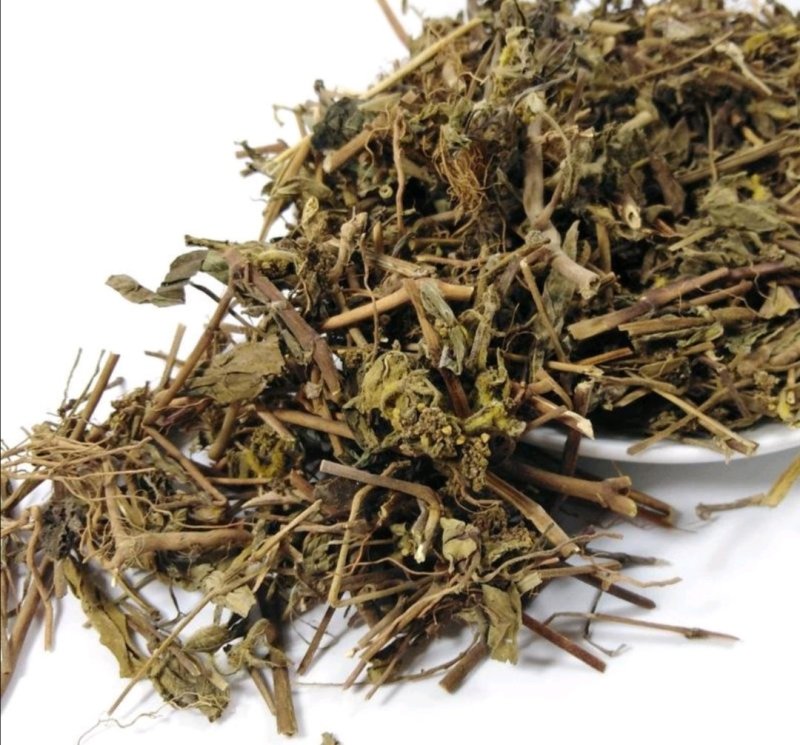 飞杨草,道地药材，质优价实，品质保证，药典标准一公斤起批