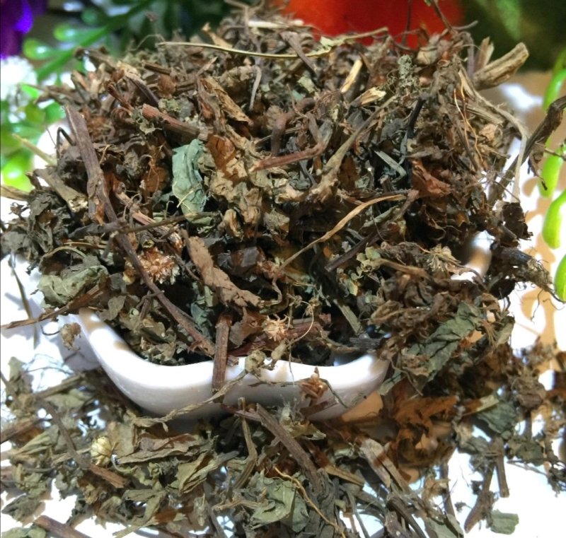 辣蓼草，道地药材，质优价实，品质保证，药典标准，产地湖南
