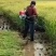 四冲程汽油手推式剪草机手扶割草机自走式果园农场剪草机