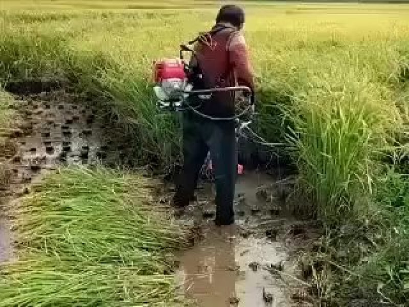 四冲程汽油手推式剪草机手扶割草机自走式果园农场剪草机