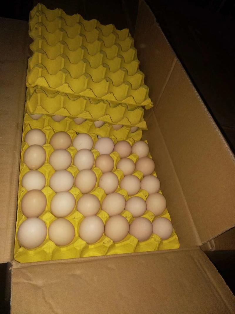 中国蛋鸡之乡，馆陶县金凤市场大量供应各种刑号，粉蛋，鹅蛋