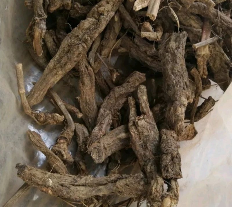 虎掌草，道地药材，质优价实，品质保证，药典标准一公斤起批