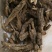 虎掌草,道地药材,质优价实,品质保证,药典标准一公斤起批
