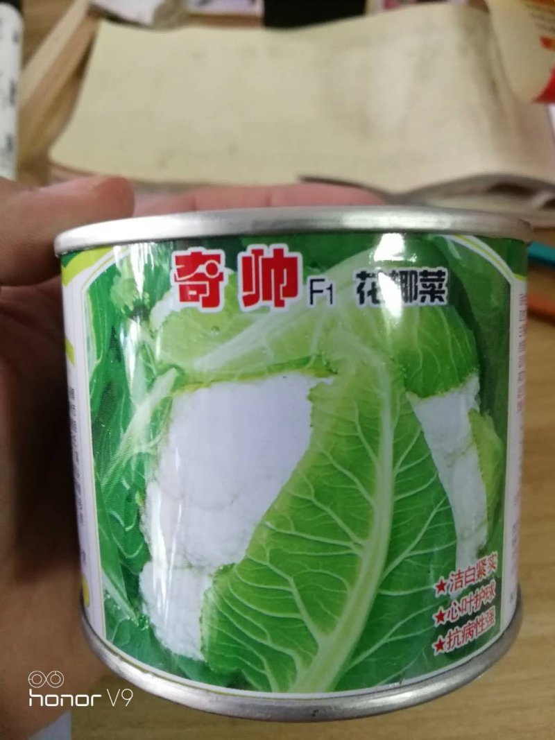 菜花种子