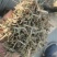 花生秧常年出售羊料牛料花生秧保证质量