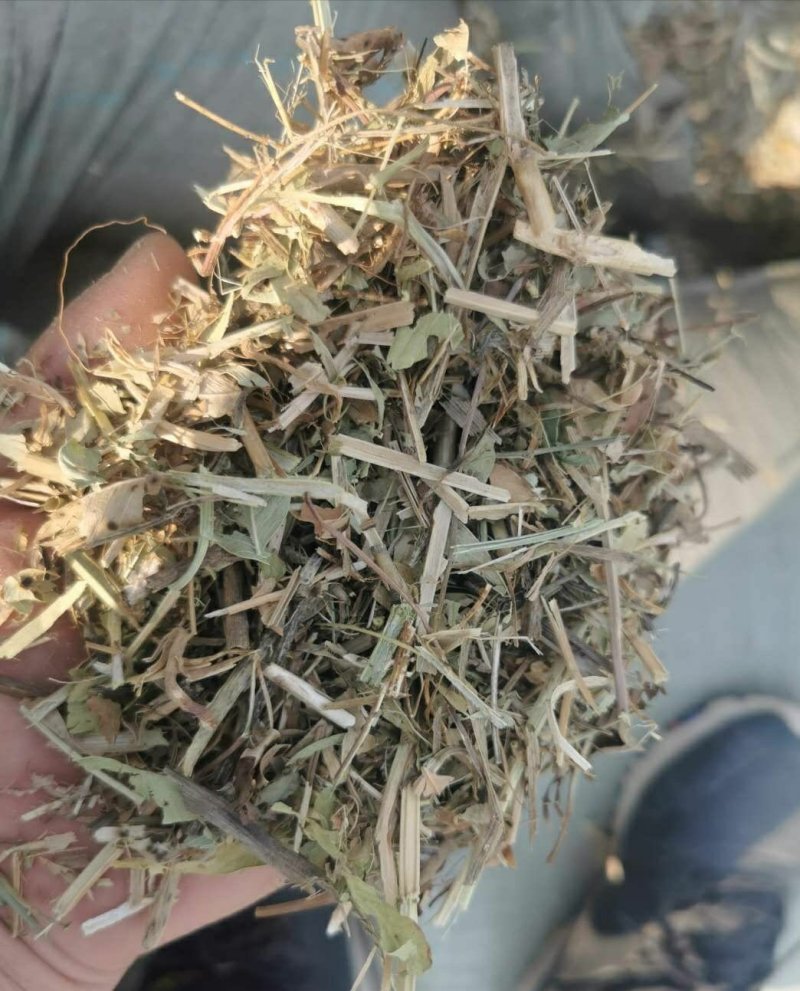 花生秧常年出售羊料牛料花生秧保证质量