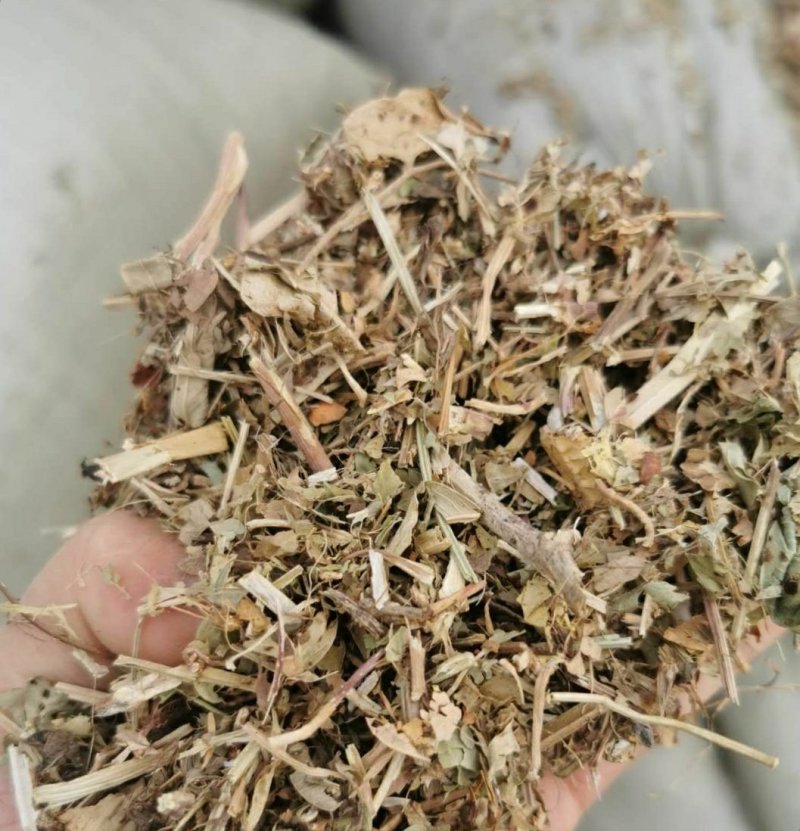 花生秧常年出售羊料牛料花生秧保证质量