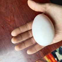 新鲜鸭蛋:自家散养，从事养鸭10几年，质量保证