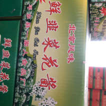 小袋装韭菜花火锅店纯鲜涮锅专用厂家市场批发