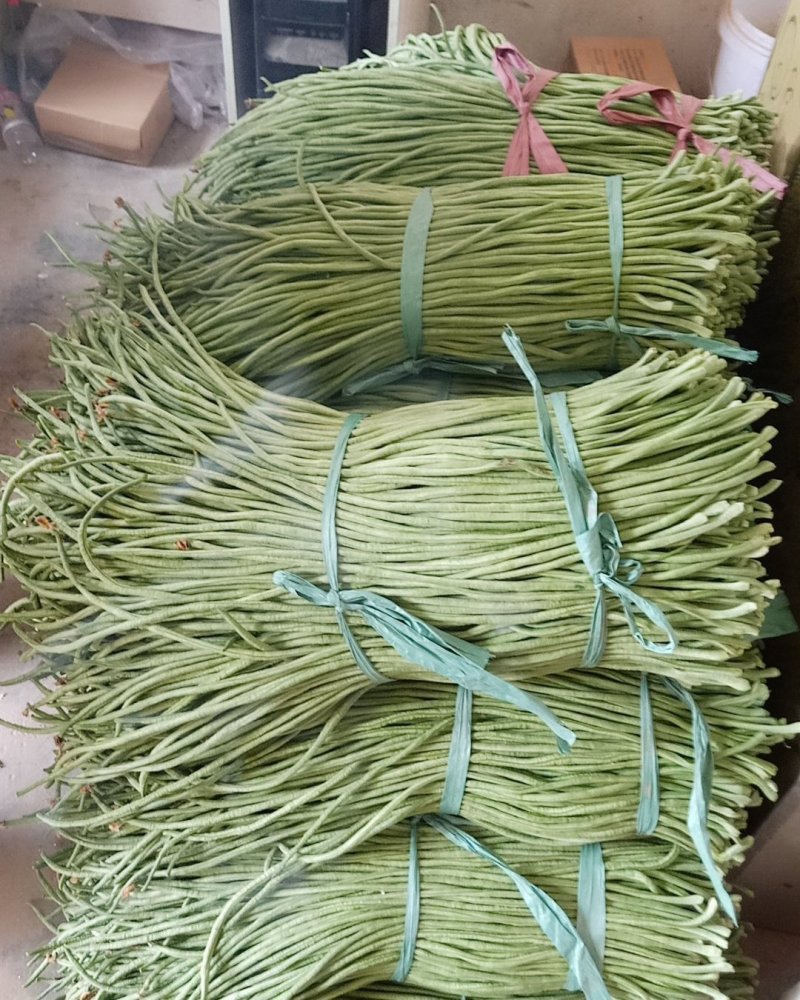 长豆角
