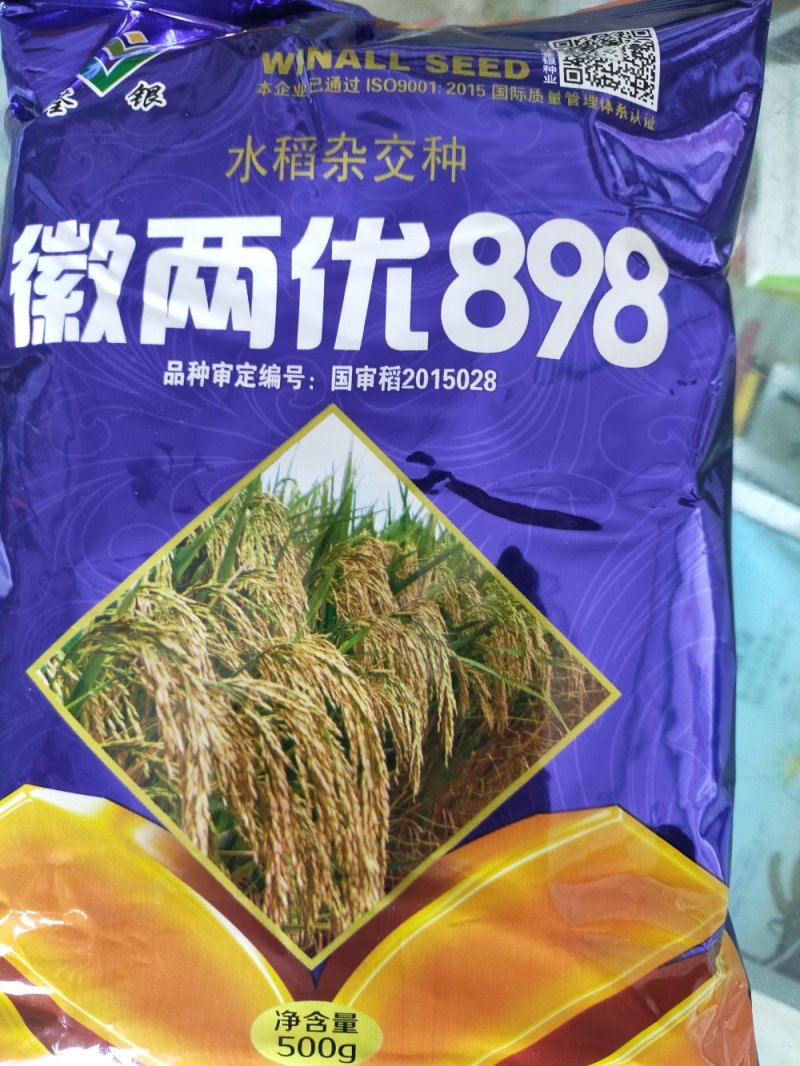 水稻种子杂交水稻种子大田种种植种子直播水稻种子糯米种子