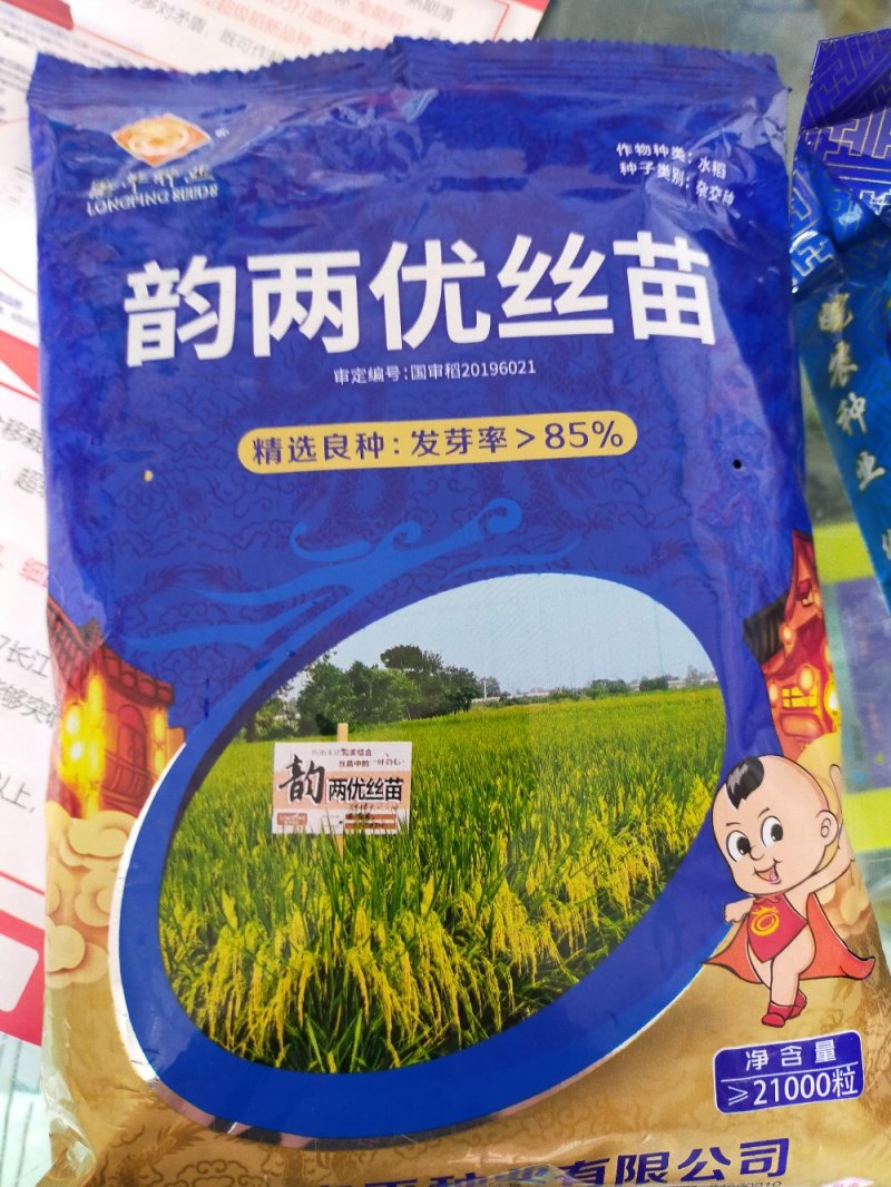 水稻种子杂交水稻种子大田种种植种子直播水稻种子糯米种子