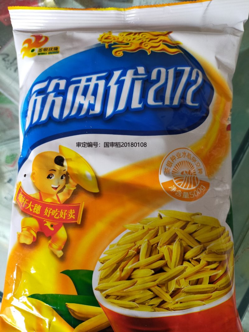水稻种子杂交水稻种子大田种种植种子直播水稻种子糯米种子