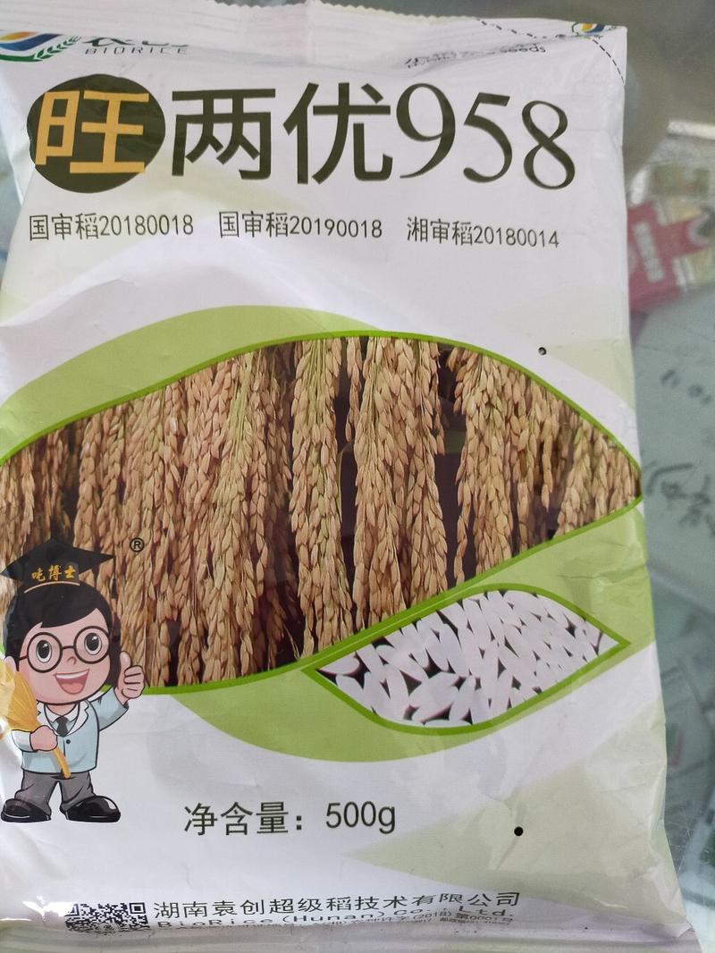 水稻种子杂交水稻种子大田种种植种子直播水稻种子糯米种子
