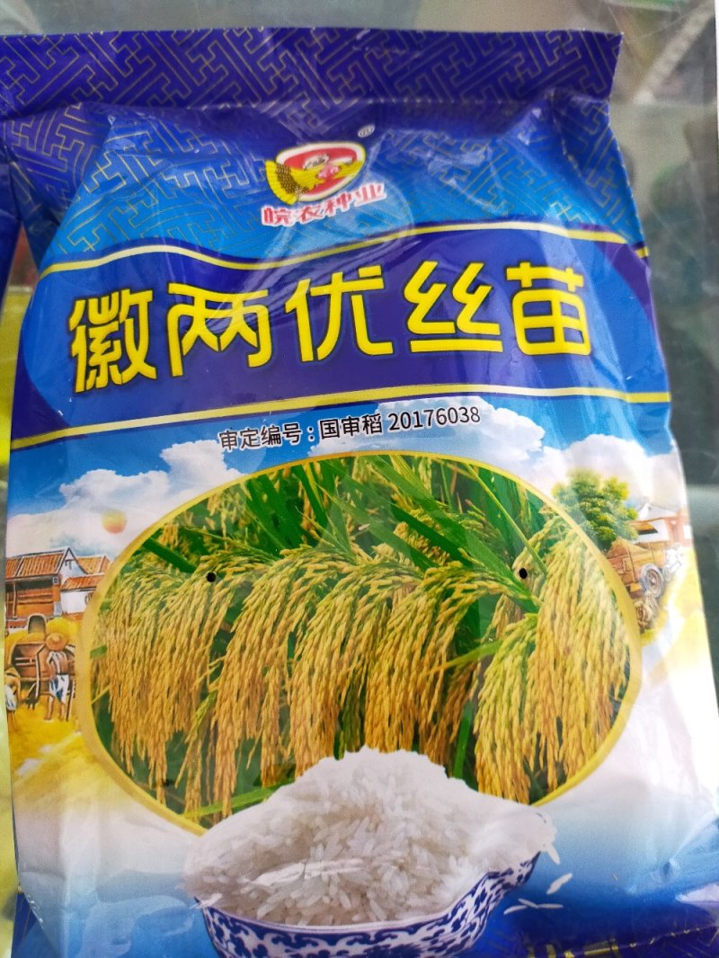 水稻种子杂交水稻种子大田种种植种子直播水稻种子糯米种子