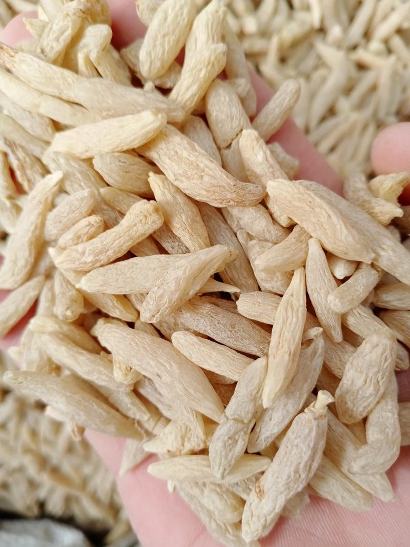 麦冬，常年批发供应川麦冬，山东麦冬，各种规格