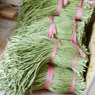 长豆角