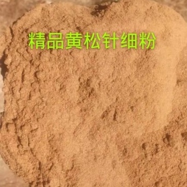 松针粉~饲料兽药添加剂原料