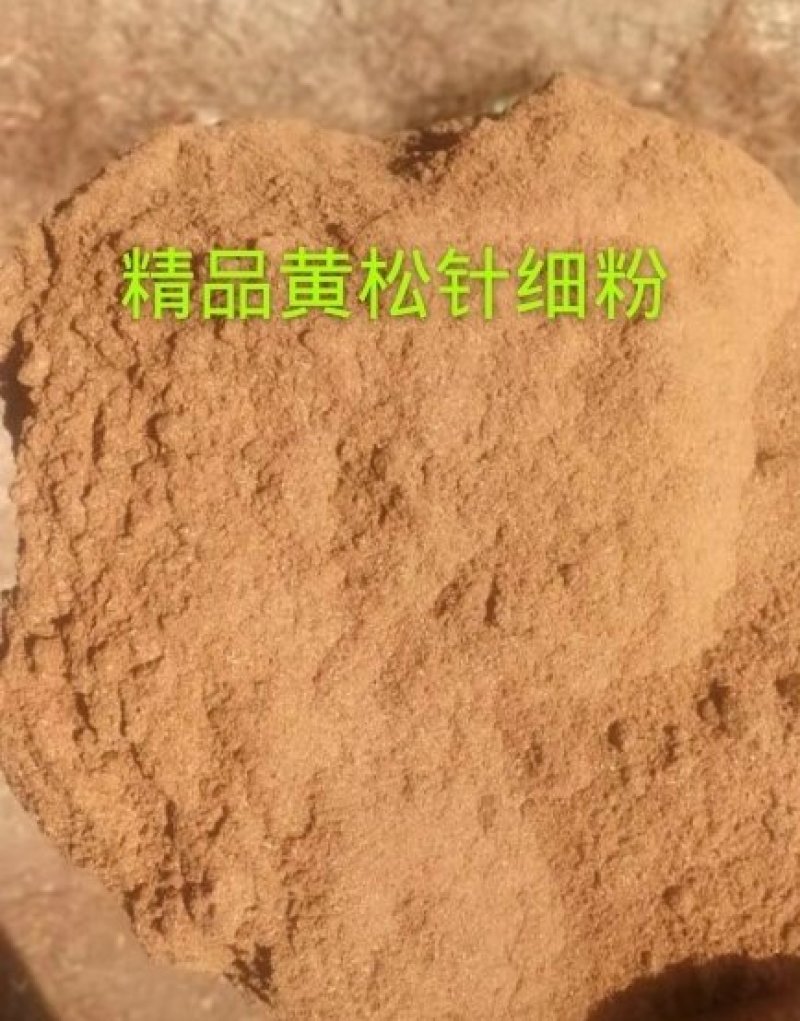 松针粉~饲料兽药添加剂原料