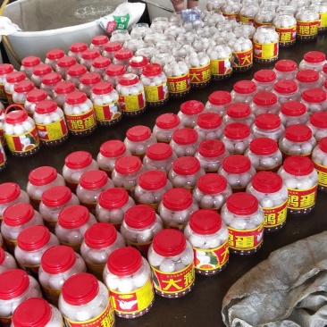 网红桶装大鹅蛋价格美丽，量大从优