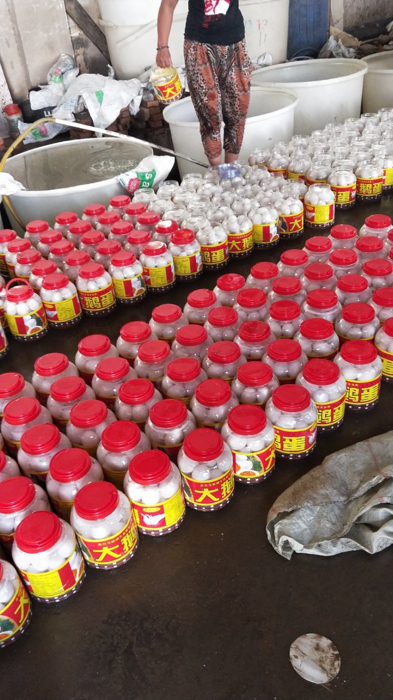 网红桶装大鹅蛋价格美丽，量大从优