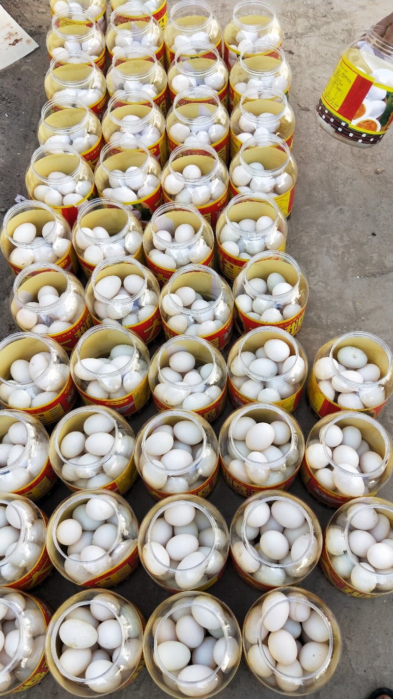 网红桶装大鹅蛋价格美丽，量大从优